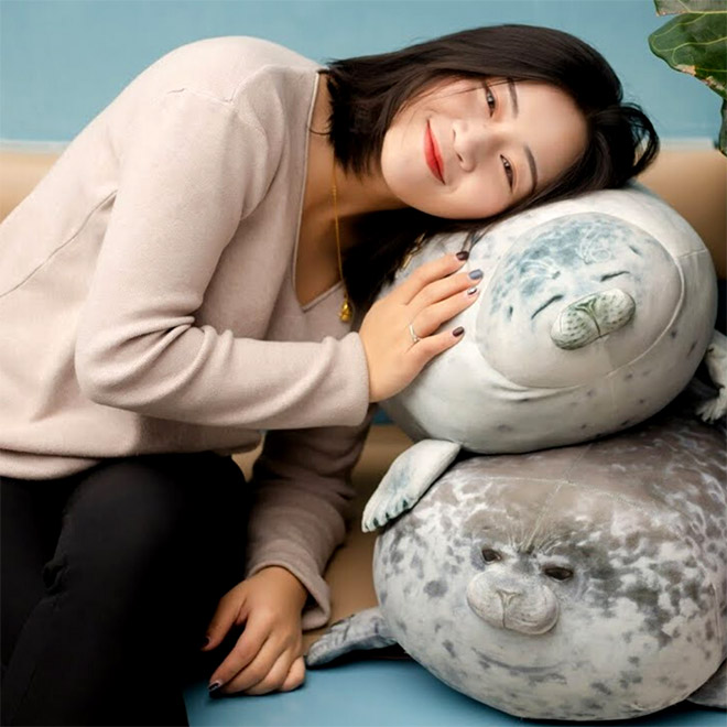 Adorable Round Seal Hugging Pillow Is Taking Over The Internet
