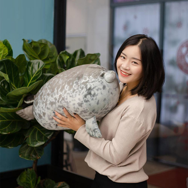 Adorable Round Seal Hugging Pillow Is Taking Over The Internet