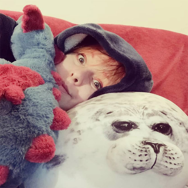 Adorable Round Seal Hugging Pillow Is Taking Over The Internet