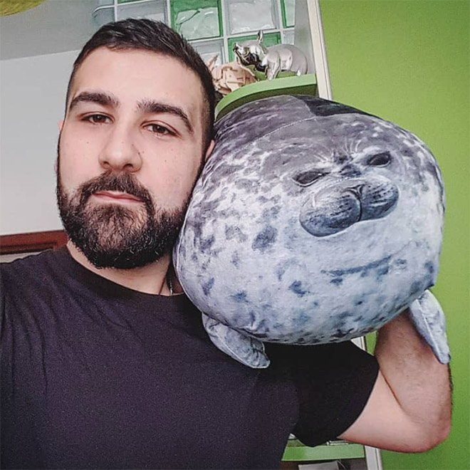 Adorable Round Seal Hugging Pillow Is Taking Over The Internet