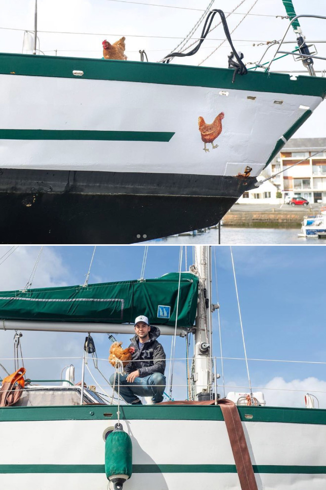 Adventurous Man Sails Around The World With His Pet Chicken