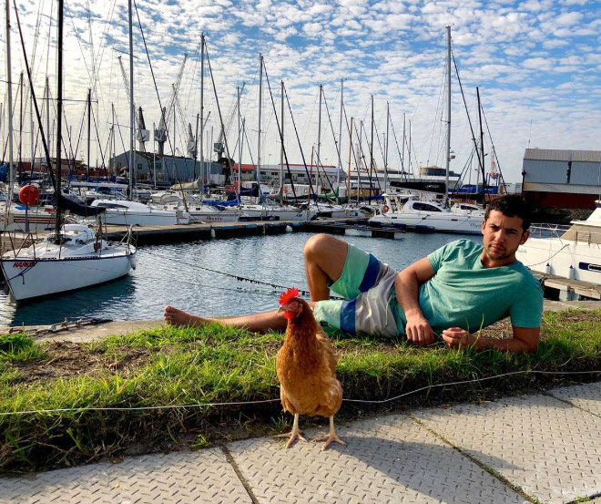 Adventurous Man Sails Around The World With His Pet Chicken