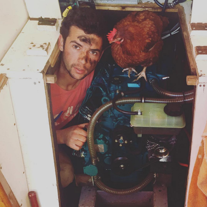 Adventurous Man Sails Around The World With His Pet Chicken