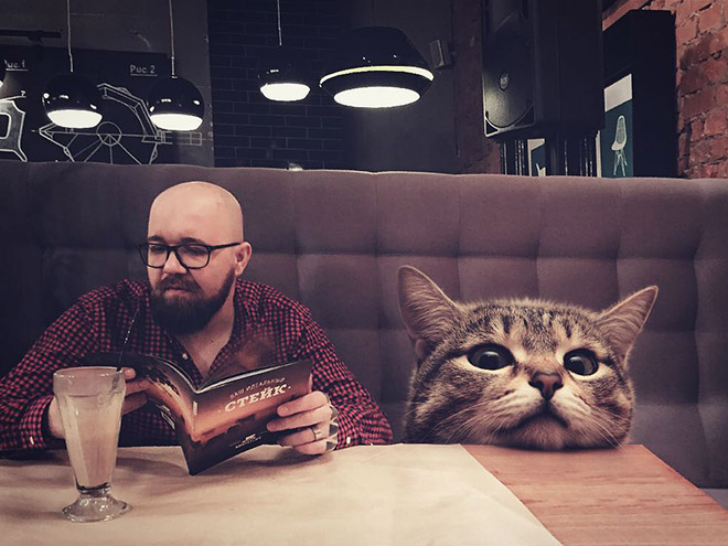 Artist Imagines a World Where Humans Live Among Giant Cats