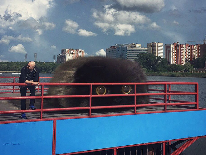 Artist Imagines a World Where Humans Live Among Giant Cats
