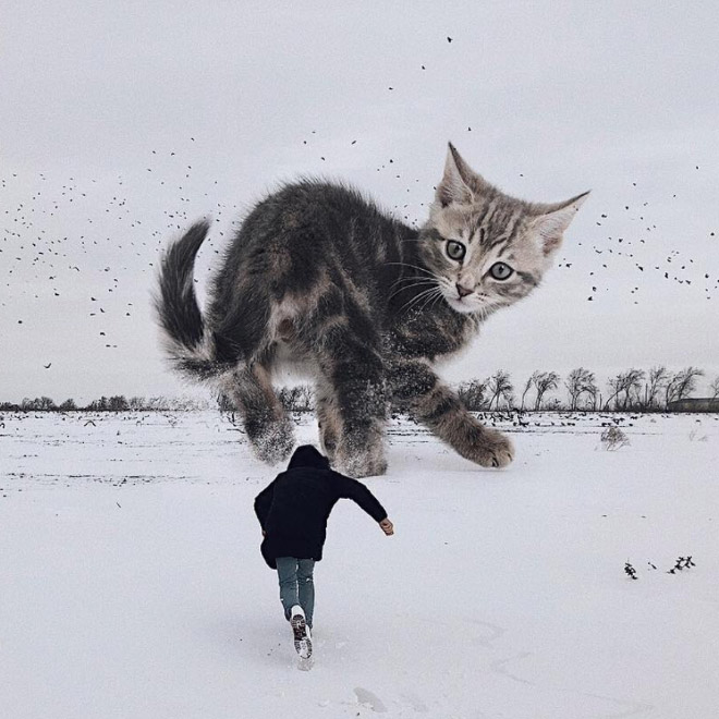 Artist Imagines a World Where Humans Live Among Giant Cats