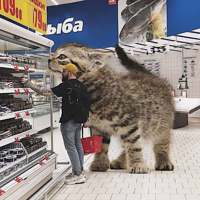 Artist Imagines a World Where Humans Live Among Giant Cats