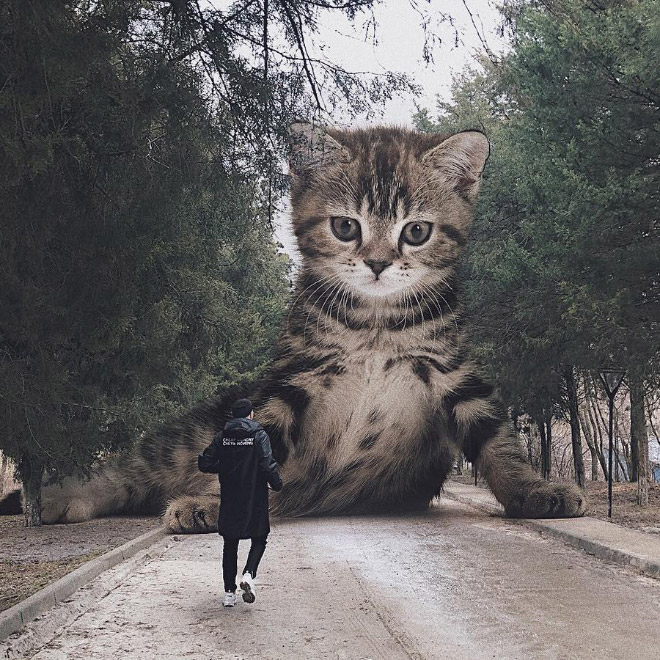 Artist Imagines a World Where Humans Live Among Giant Cats