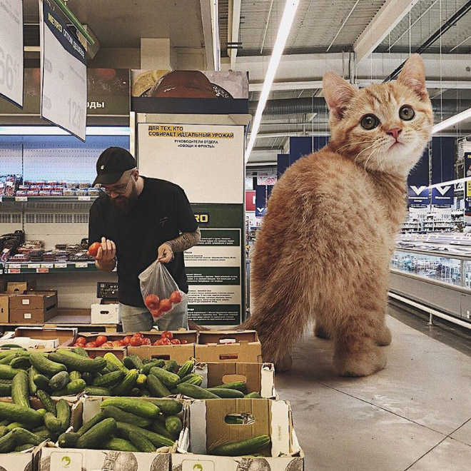 Artist Imagines a World Where Humans Live Among Giant Cats