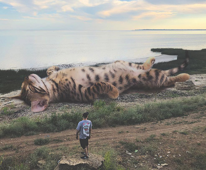 Artist Imagines a World Where Humans Live Among Giant Cats