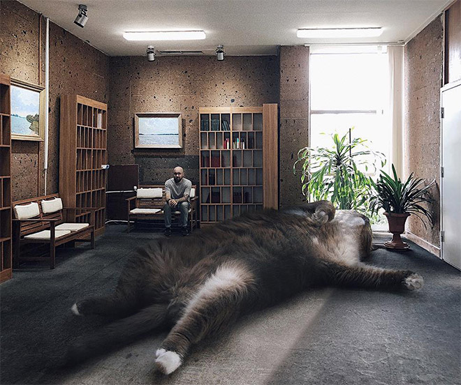 Artist Imagines a World Where Humans Live Among Giant Cats