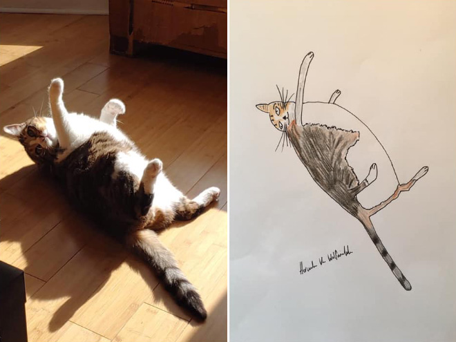 Artist Raises Thousands For Charity With His Hilariously Terrible Pet Portraits