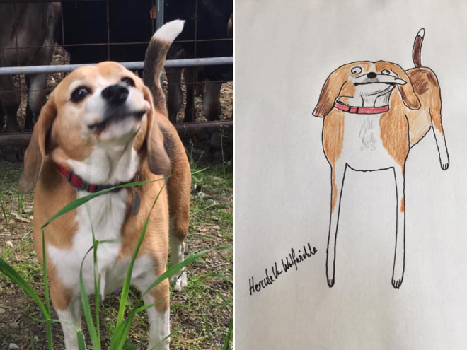 Artist Raises Thousands For Charity With His Hilariously Terrible Pet Portraits