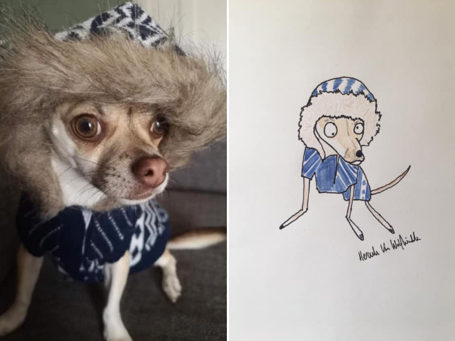 Artist Raises Thousands For Charity With His Hilariously Terrible Pet Portraits