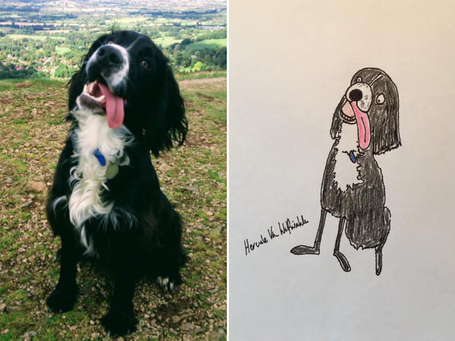Artist Raises Thousands For Charity With His Hilariously Terrible Pet Portraits