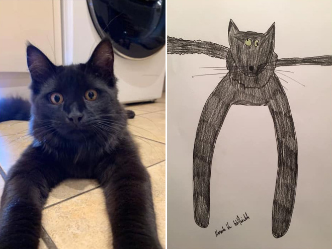 Artist Raises Thousands For Charity With His Hilariously Terrible Pet Portraits