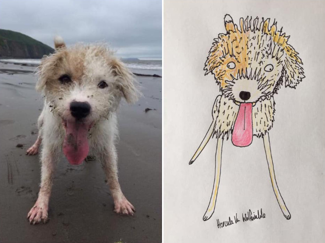 Artist Raises Thousands For Charity With His Hilariously Terrible Pet Portraits