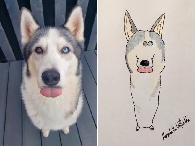 Artist Raises Thousands For Charity With His Hilariously Terrible Pet Portraits
