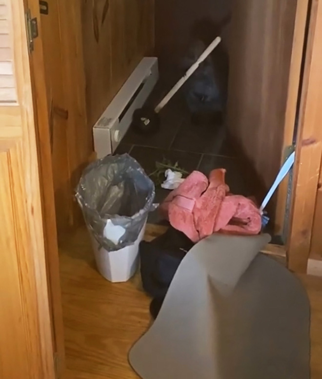 Baby Beaver Gets Rescued, Ends Up Building “Dams” In Rescuer’s Home Using Random Household Items
