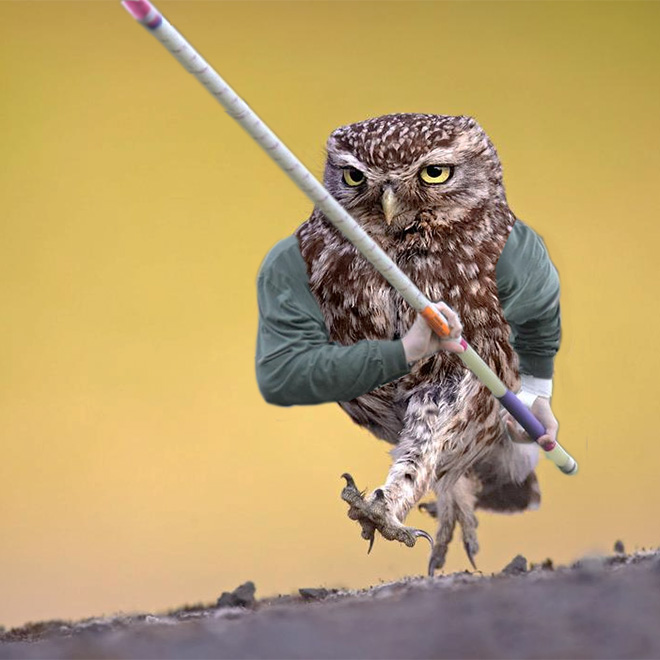 Birds With Human Arms