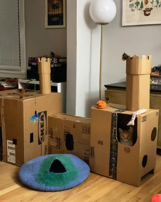 Bored Quarantined Owners Have Started Building Cardboard Castles For Cats