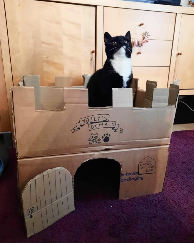 Bored Quarantined Owners Have Started Building Cardboard Castles For Cats
