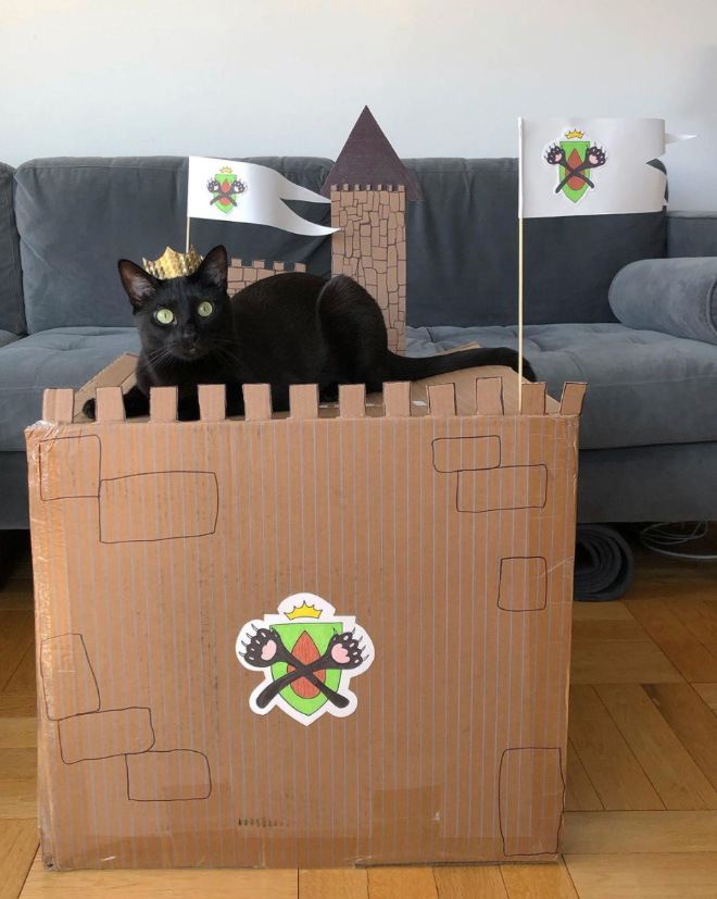 Bored Quarantined Owners Have Started Building Cardboard Castles For Cats