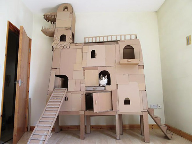 Bored Quarantined Owners Have Started Building Cardboard Forts For Cats