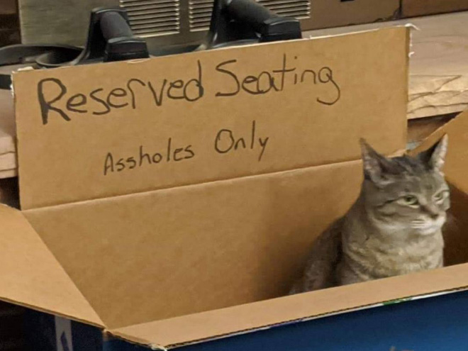Bored Quarantined People Have Started Building A**hole Forts For Their Cats
