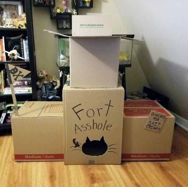 Bored Quarantined People Have Started Building A**hole Forts For Their Cats