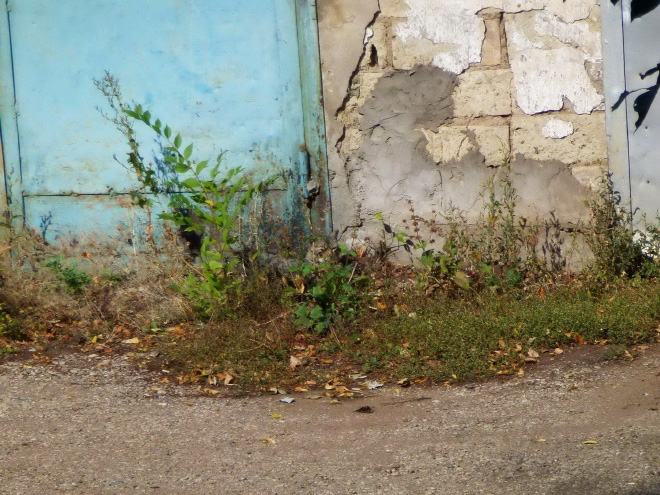 Bored Sitting at Home? Try To Find a Cat In Each Picture!