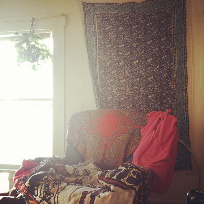Bored Sitting at Home? Try To Find a Cat In Each Picture!