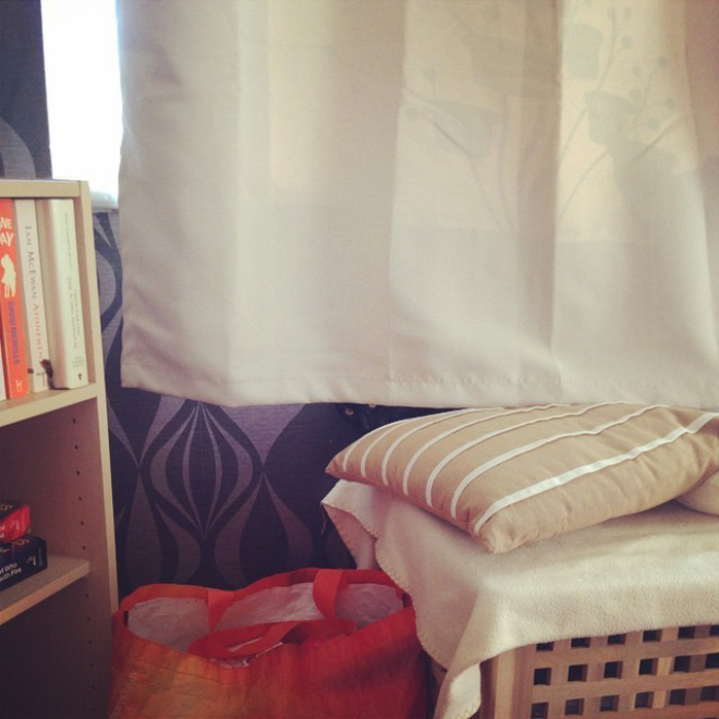 Bored Sitting at Home? Try To Find a Cat In Each Picture!