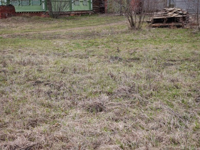 Bored Sitting at Home? Try To Find a Cat In Each Picture!