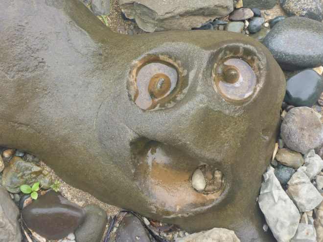 Can You See Drunk Faces In These Inanimate Objects?