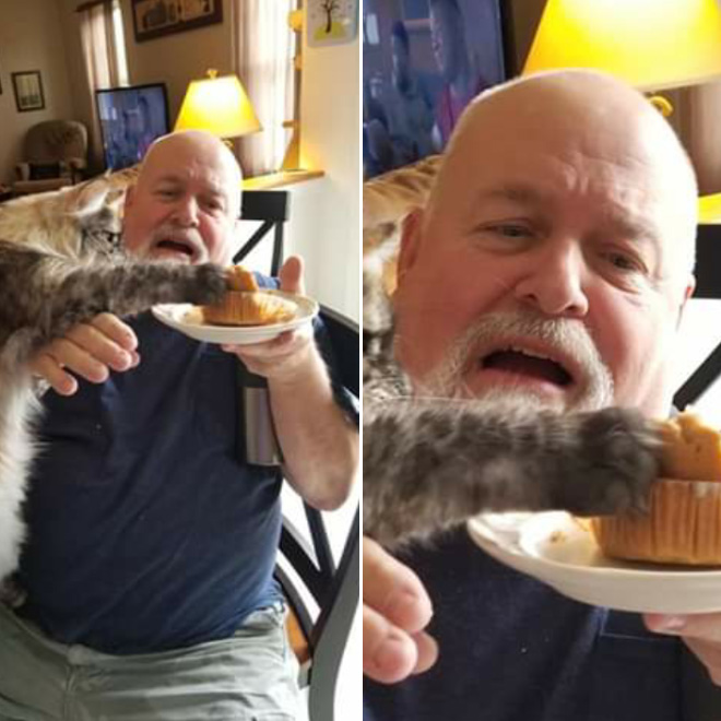 Cat Thieves Caught In The Act