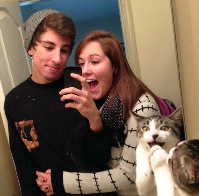 Cats Hilariously Photobombing Purrfect Shots