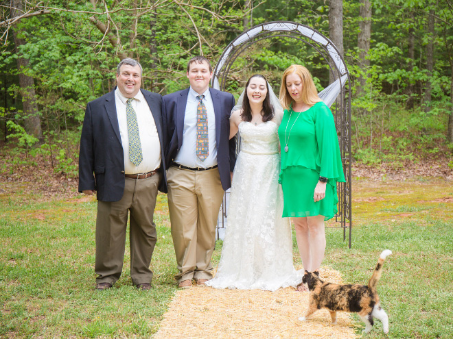 Cats Hilariously Photobombing Purrfect Shots
