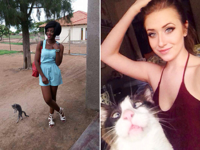 Cats Hilariously Photobombing Purrfect Shots