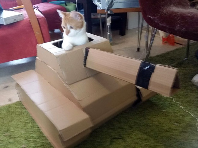 Cats In Cardboard Tanks