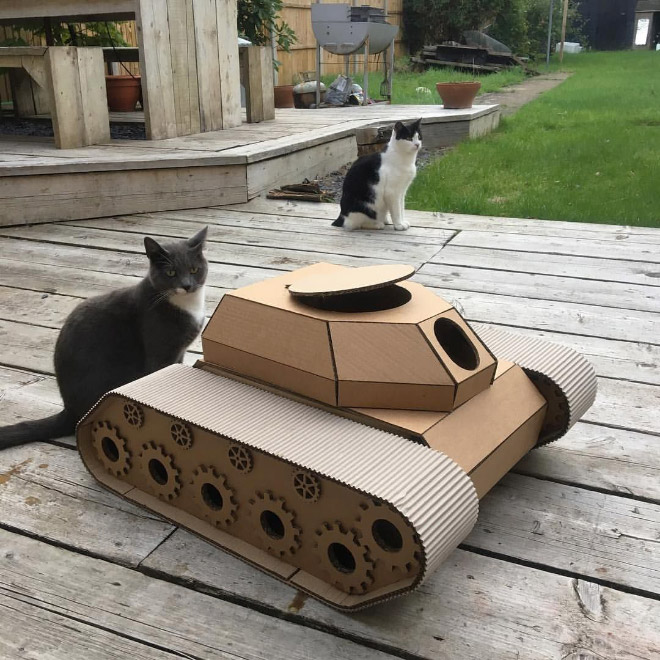 Cats In Cardboard Tanks