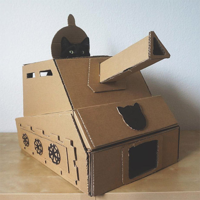 Cats In Cardboard Tanks