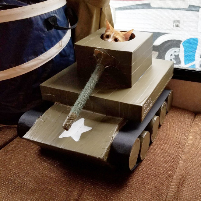 Cats In Cardboard Tanks
