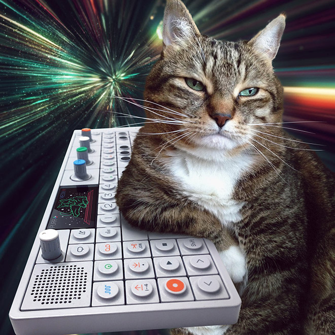 Cats On Synthesizers In Space