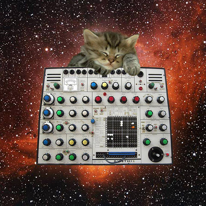 Cats On Synthesizers In Space