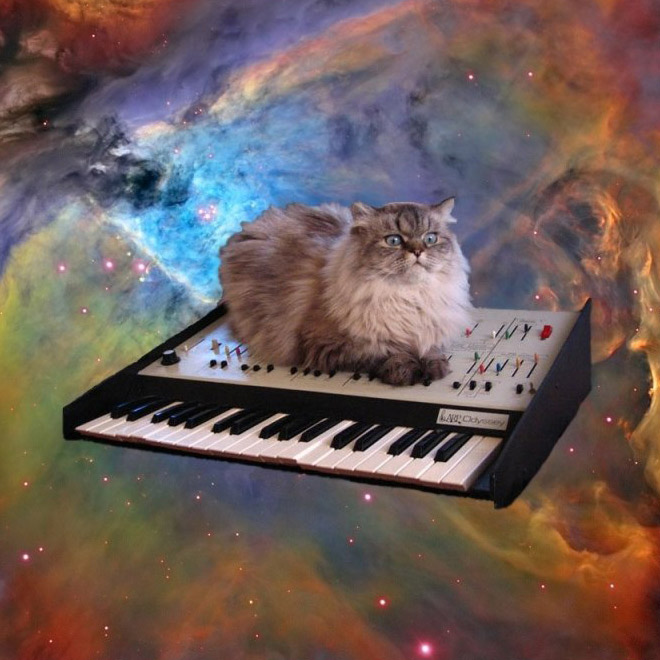 Cats On Synthesizers In Space