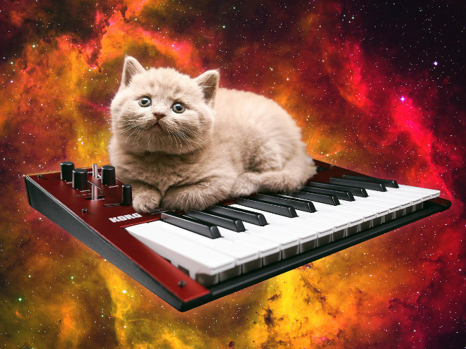 Cats On Synthesizers In Space