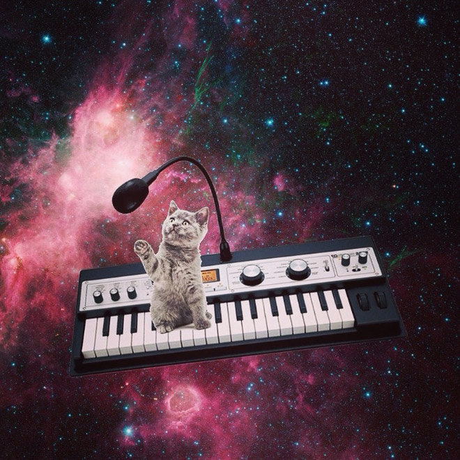Cats On Synthesizers In Space