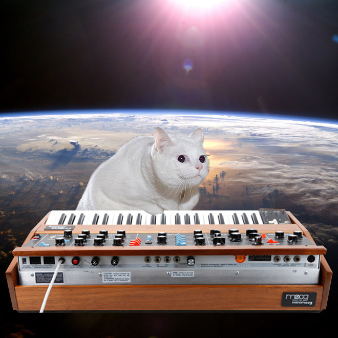 Cats On Synthesizers In Space