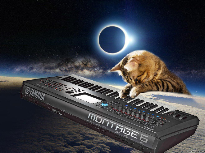 Cats On Synthesizers In Space